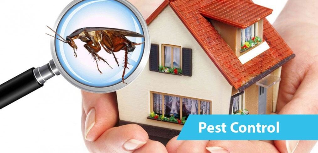 pest control service