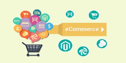 Ecommerce Development