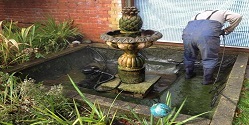 Fish Pond Filter Cleaning