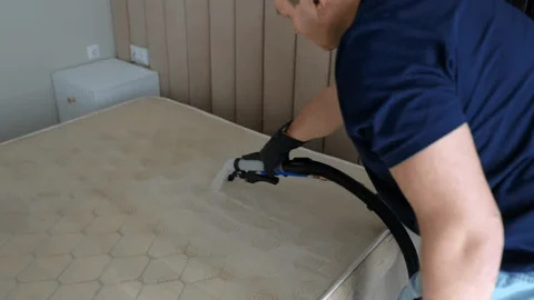 deep vacuuming and dust removal