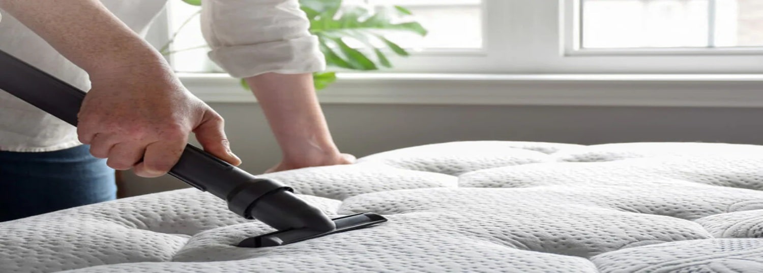 Mattress Cleaning Services